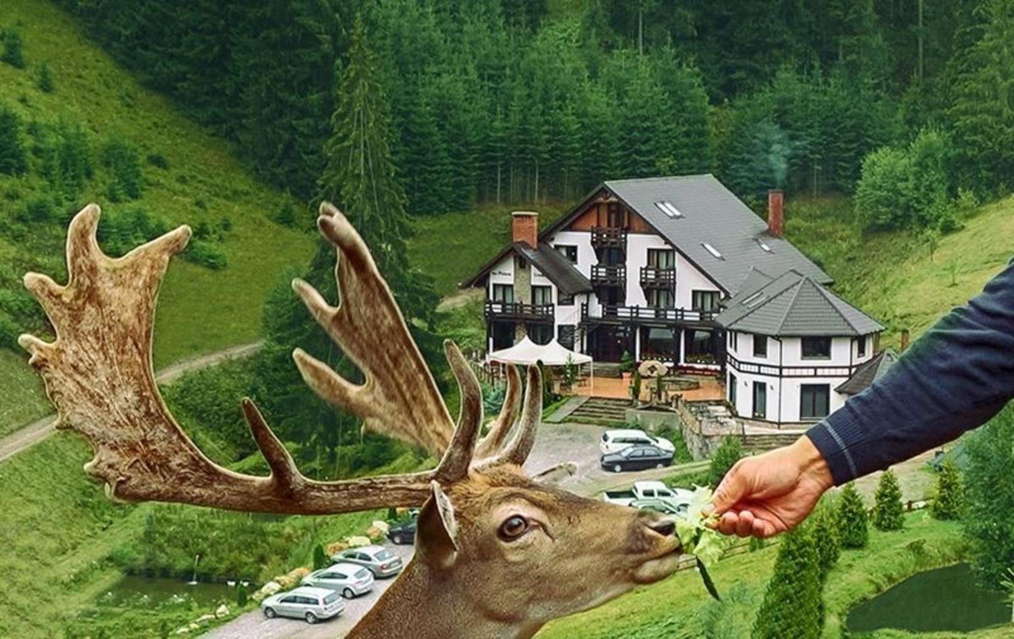 Pensiunea Poiana Izvoarelor Vatra Dornei Exterior foto