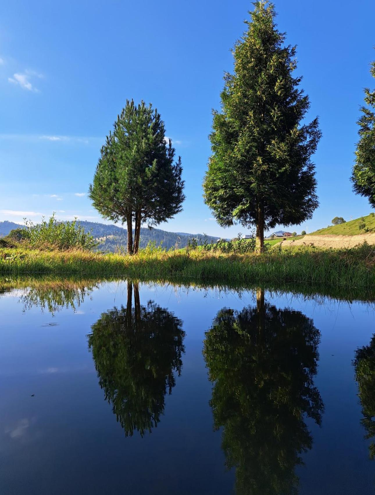 Pensiunea Poiana Izvoarelor Vatra Dornei Exterior foto